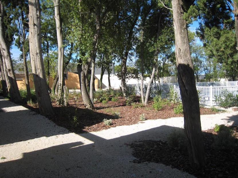 Saint-Rémy-de-ProvenceBastidon Des Alpilles别墅 外观 照片